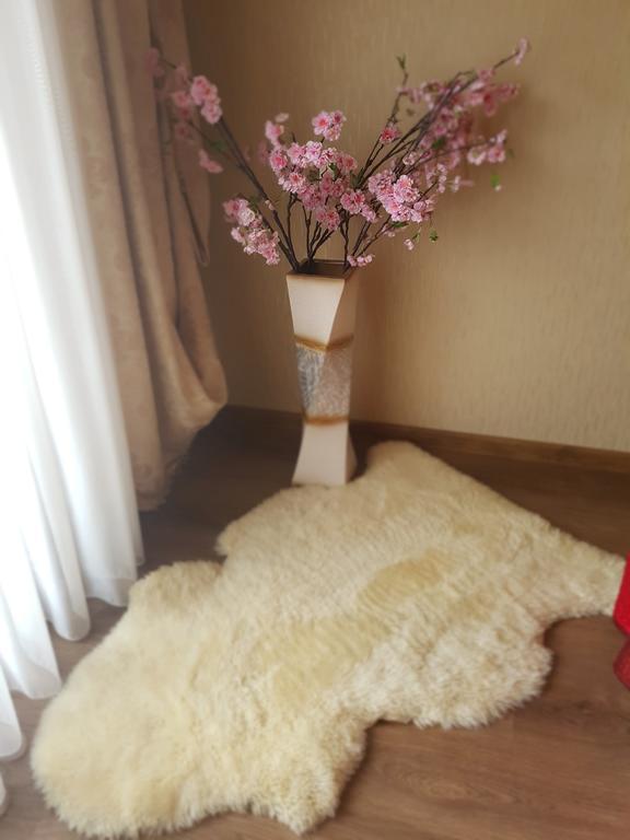 Riga Airport Apartment Ngoại thất bức ảnh